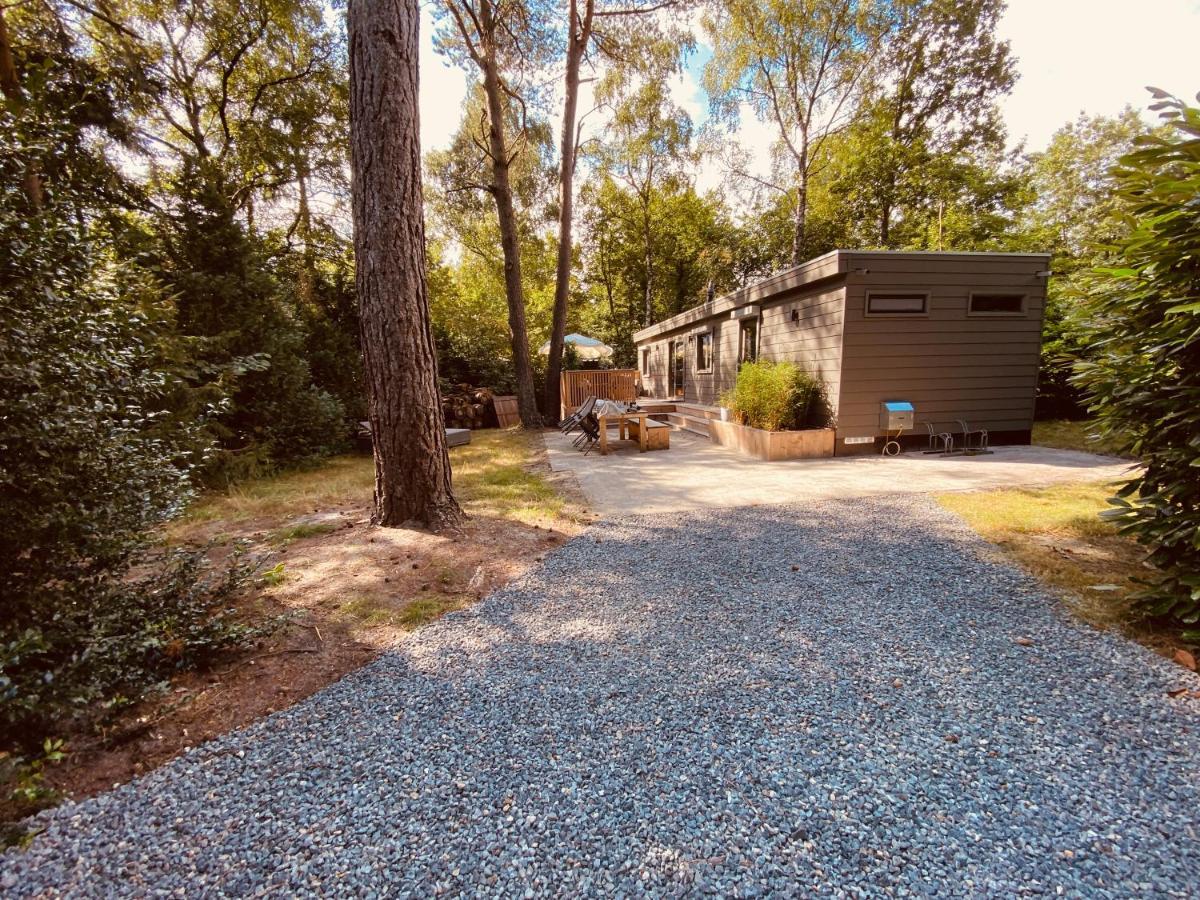 Trendy House Hattem Nr4 Hattemerbroek エクステリア 写真