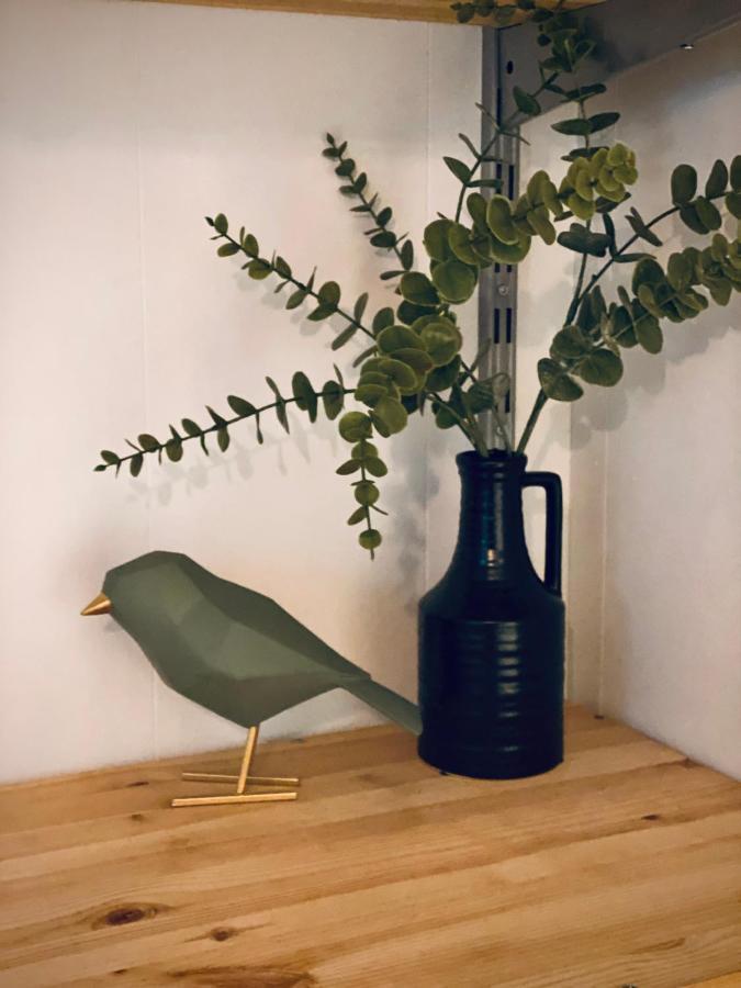Trendy House Hattem Nr4 Hattemerbroek エクステリア 写真
