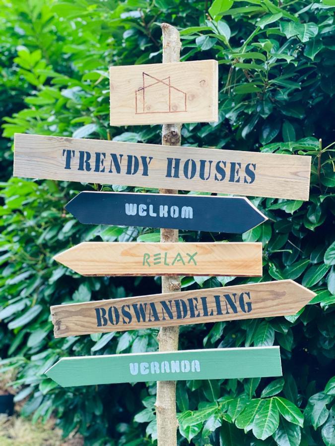 Trendy House Hattem Nr4 Hattemerbroek エクステリア 写真